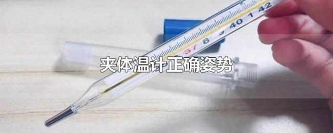 夹体温计正确姿势