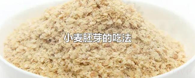 小麦胚芽的吃法