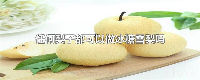 任何梨子都可以做冰糖雪梨吗 任何梨子都可以做冰糖雪梨吗