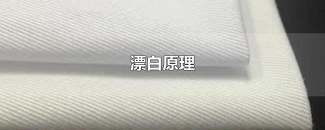 漂白原理 漂白原理