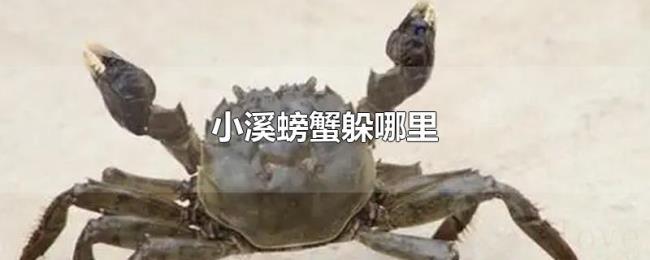 小溪螃蟹躲哪里 小溪螃蟹躲哪里