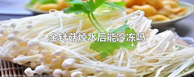金针菇焯水后能冷冻吗 金针菇焯水后能冷冻吗
