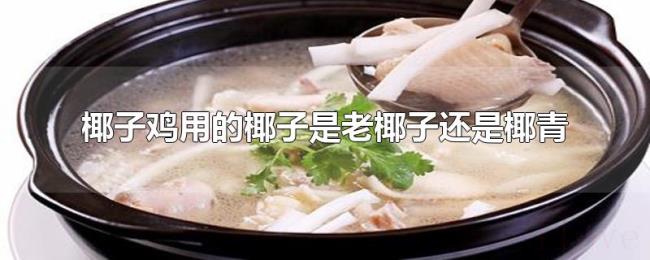 椰子鸡用的椰子是老椰子还是椰青