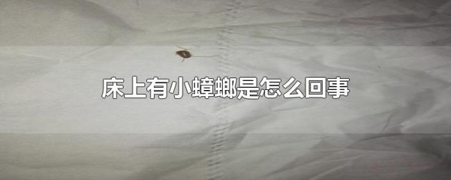床上有小蟑螂是怎么回事
