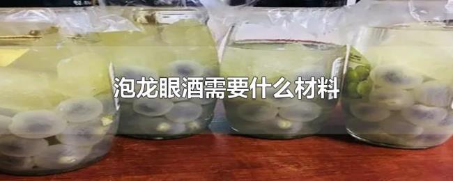 泡龙眼酒需要什么材料 泡龙眼酒需要什么材料