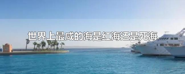 世界上最咸的海是红海还是死海 世界上最咸的海是红海还是死海
