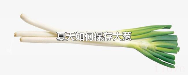 夏天如何保存大葱 夏天如何保存大葱