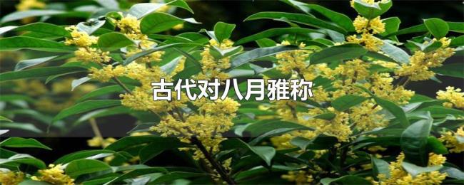 古代对八月雅称 古代对八月雅称