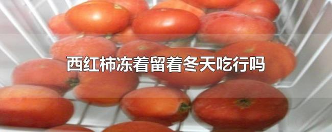 西红柿冻着留着冬天吃行吗 西红柿冻着留着冬天吃行吗