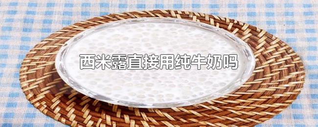 西米露直接用纯牛奶吗