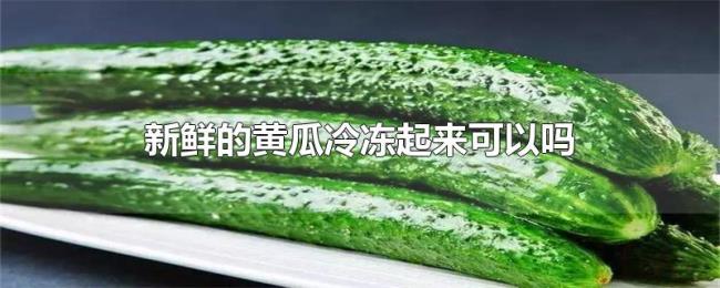 新鲜的黄瓜冷冻起来可以吗