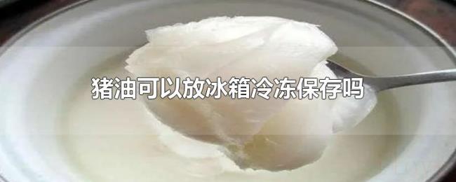 猪油可以放冰箱冷冻保存吗