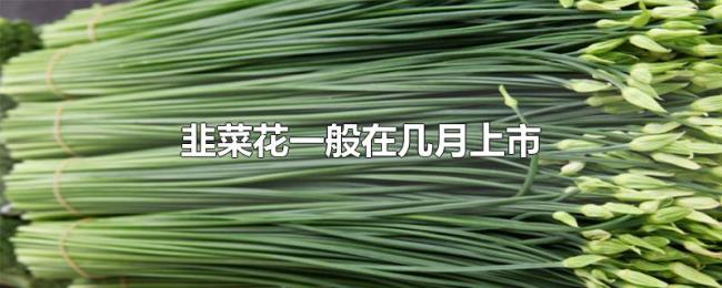 韭菜花一般在几月上市
