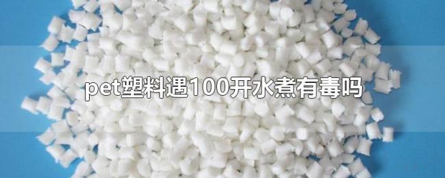 pet塑料遇100开水煮有毒吗