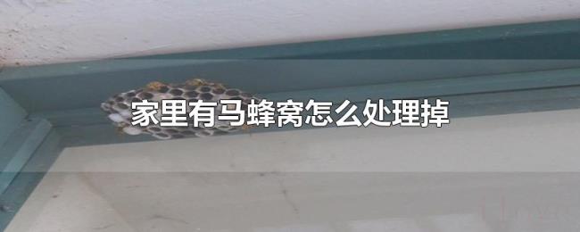 家里有马蜂窝怎么处理掉