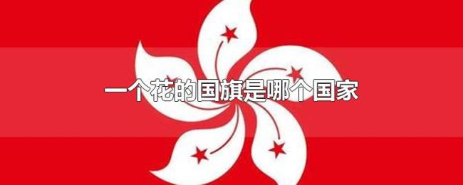 一个花的国旗是哪个国家