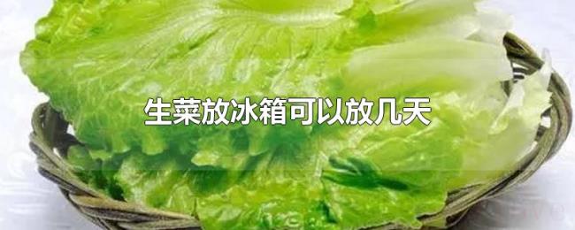 生菜放冰箱可以放几天 生菜放冰箱可以放几天