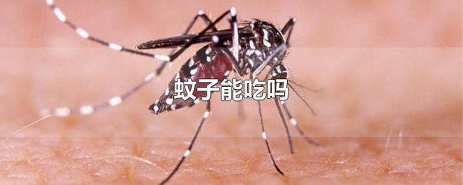蚊子能吃吗 蚊子能吃吗