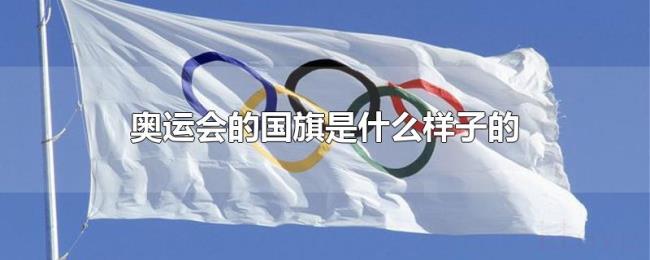 奥运会的国旗是什么样子的