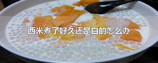 西米煮了好久还是白的怎么办 西米煮了好久还是白的怎么办