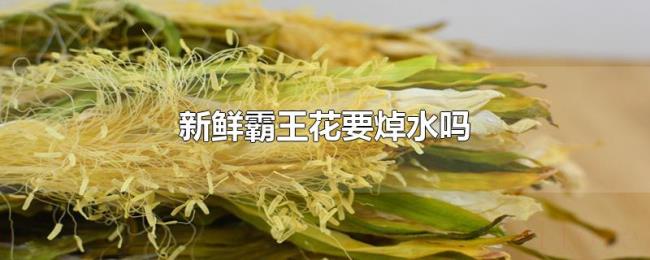 新鲜霸王花要焯水吗
