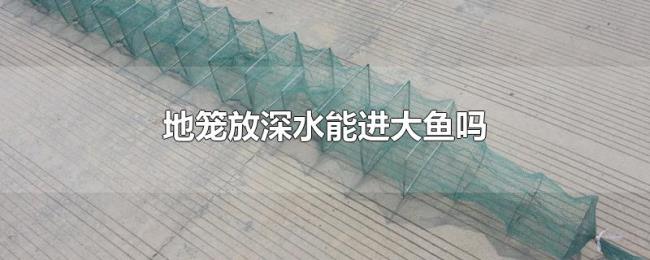 地笼放深水能进大鱼吗 地笼放深水能进大鱼吗