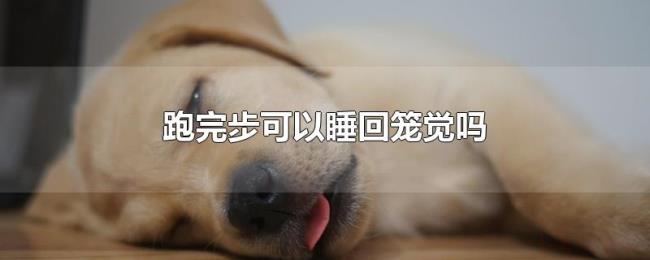 跑完步可以睡回笼觉吗 跑完步可以睡回笼觉吗