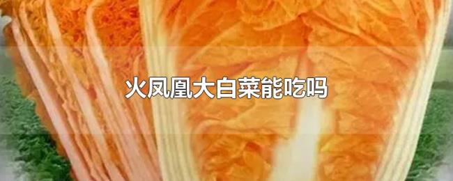 火凤凰大白菜能吃吗