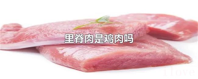 里脊肉是鸡肉吗