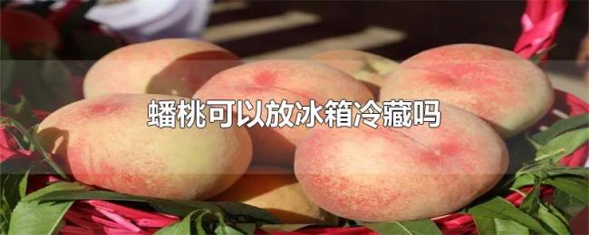 蟠桃可以放冰箱冷藏吗