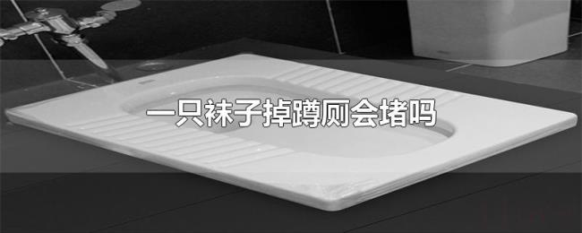 一只袜子掉蹲厕会堵吗 一只袜子掉蹲厕会堵吗