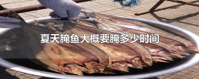 夏天腌鱼大概要腌多少时间 夏天腌鱼大概要腌多少时间