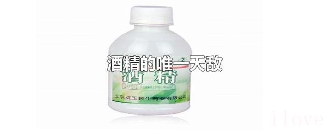 酒精的唯一天敌 酒精的唯一天敌