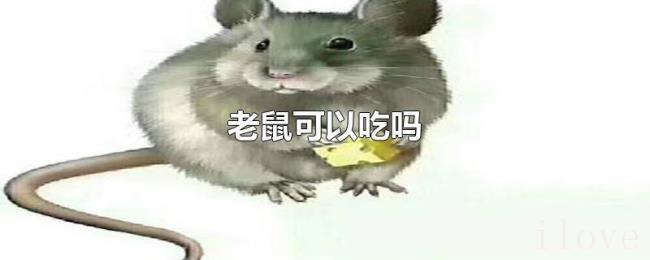 老鼠可以吃吗 老鼠可以吃吗