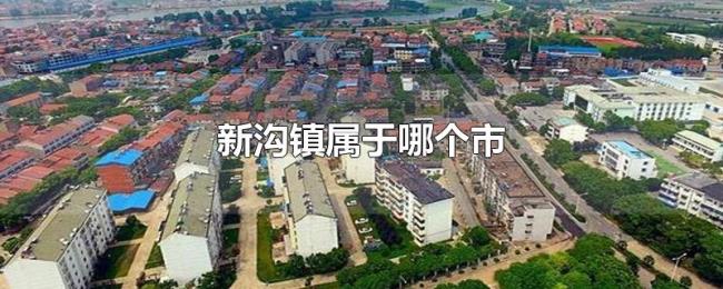 新沟镇属于哪个市 新沟镇属于哪个市