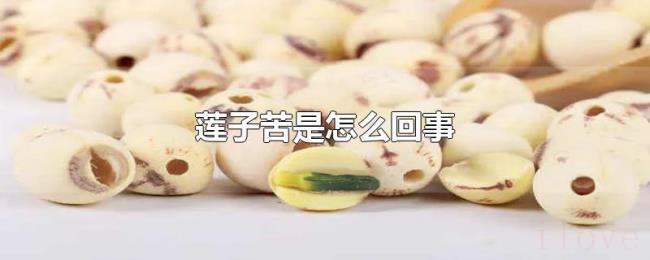 莲子苦是怎么回事 莲子苦是怎么回事
