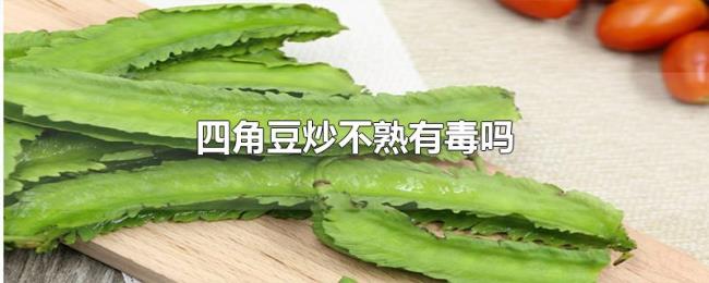 四角豆炒不熟有毒吗 四角豆炒不熟有毒吗