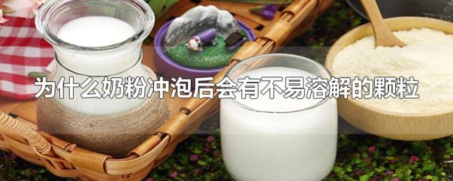 为什么奶粉冲泡后会有不易溶解的颗粒