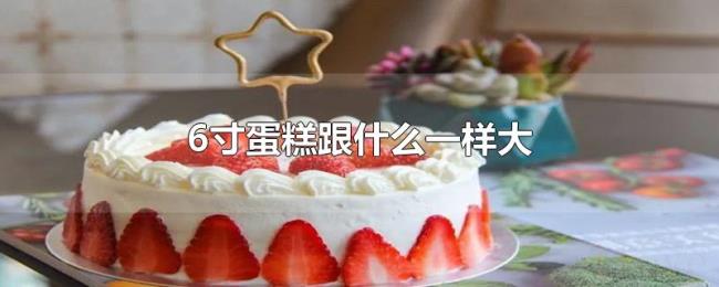 6寸蛋糕跟什么一样大 6寸蛋糕跟什么一样大