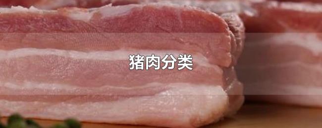 猪肉分类 猪肉分类