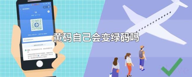 黄码自己会变绿码吗 黄码自己会变绿码吗