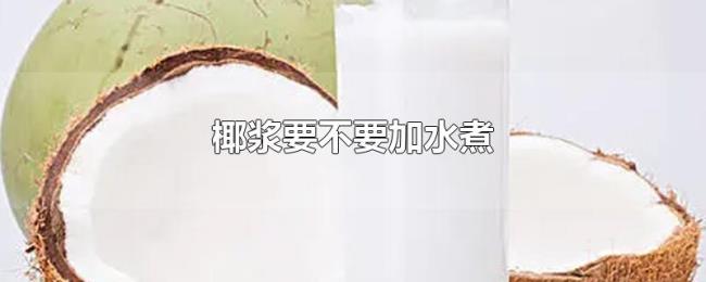 椰浆要不要加水煮 椰浆要不要加水煮