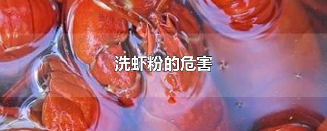 洗虾粉的危害 洗虾粉的危害