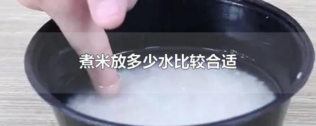 煮米放多少水比较合适 煮米放多少水比较合适
