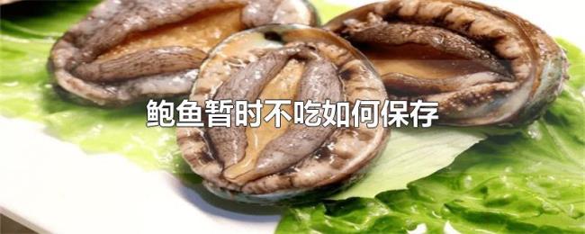 鲍鱼暂时不吃如何保存 鲍鱼暂时不吃如何保存