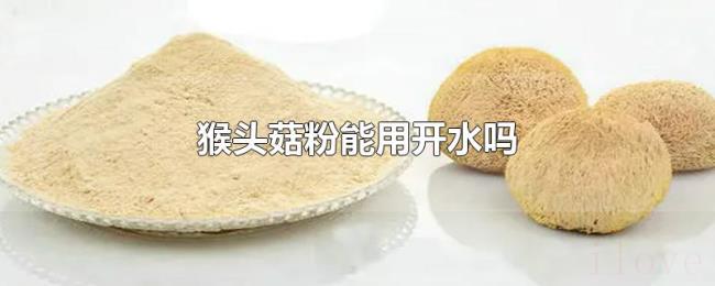 猴头菇粉能用开水吗 猴头菇粉能用开水吗