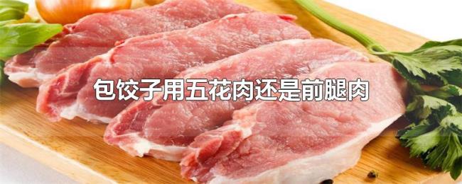 包饺子用五花肉还是前腿肉 包饺子用五花肉还是前腿肉