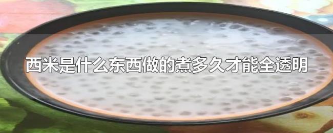 西米是什么东西做的煮多久才能全透明 西米是什么东西做的煮多久才能全透明