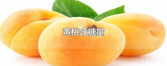 黄桃含糖量 黄桃含糖量