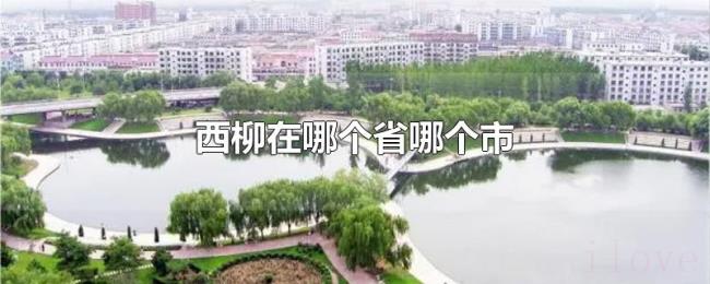 西柳在哪个省哪个市 西柳在哪个省哪个市
